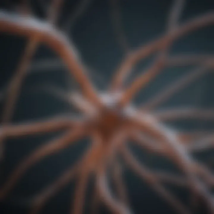 Artistic representation of neuron structure