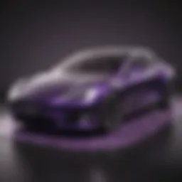 Elegant design of Tesla purple plates showcasing unique patterns