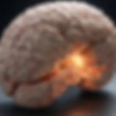 Impact of Sleep Deprivation on Cognitive Functions Illustration of a brain highlighting areas affected by sleep deprivation