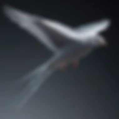 Aerodynamic Forces in Avian Flight Graph showing aerodynamic forces affecting bird flight