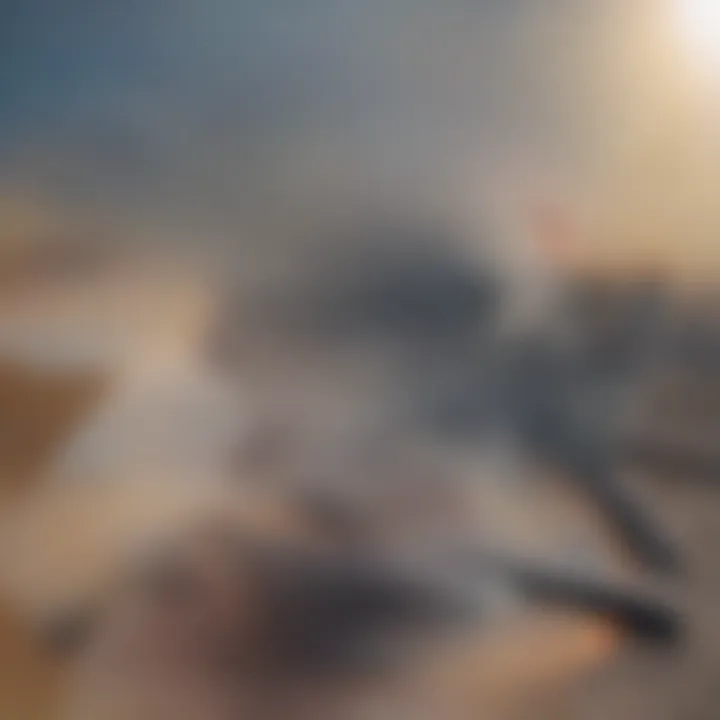 Artist's impression of a dark matter detection experiment