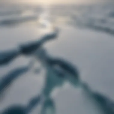Melting Polar Ice: A Global Concern Aerial view of a vast polar ice sheet melting under the sun
