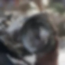 Artificial Intelligence driving technology innovation