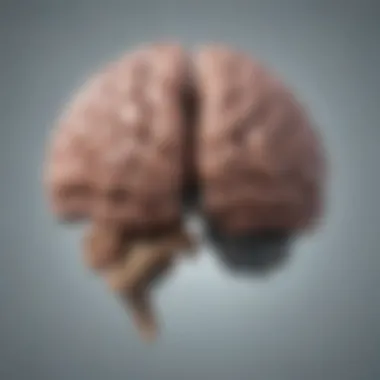 Brain Regions Affected by Depression Brain regions influenced by depressive states