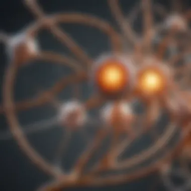 Illustration of serotonin receptors and their impact