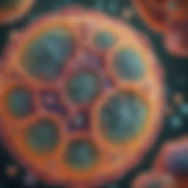 Understanding Cellular Organelles A detailed diagram of a cell showcasing various organelles and their functions.