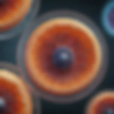 Key Cellular Processes An illustration depicting cellular processes such as mitosis and cellular respiration.