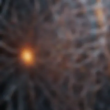 Neural Pathways: The Architecture of Memory Storage Visualization of neural pathways involved in memory storage