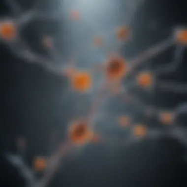 Serotonin Synthesis and Depression Connection Diagram depicting serotonin synthesis and its impact on depression