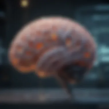 Neuroscience Insights on Brain Focus Neuroscience brain diagram illustrating focus areas