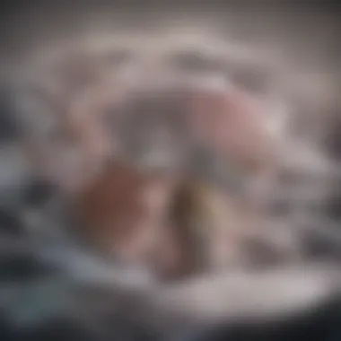 The Brain's Activity During Sleep A conceptual illustration representing the brain during sleep