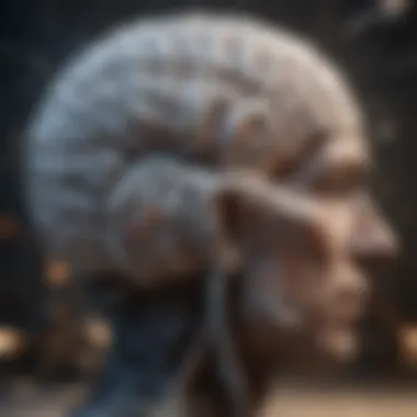 Conceptual map illustrating the impact of brain chemicals on behavior