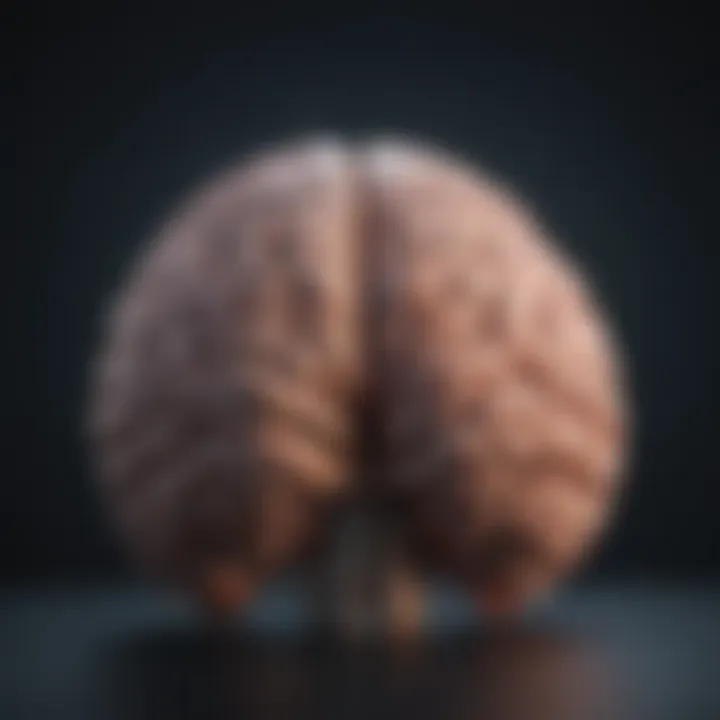Brain regions associated with mood regulation
