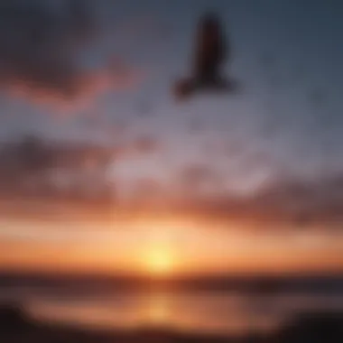 A flock of migratory birds in flight against a vibrant sunset sky