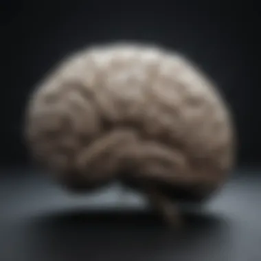Key Brain Regions Impacted by Depression Illustration of brain regions affected by depression