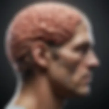 Key Brain Regions Influencing Depression Brain regions affected by depression