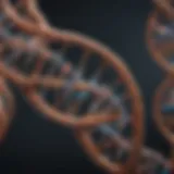 DNA double helix structure