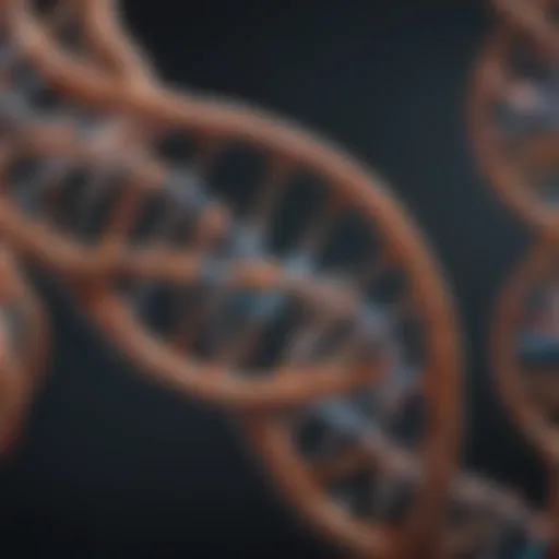 DNA double helix structure
