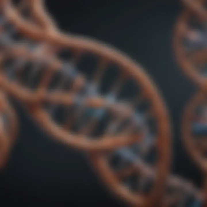 DNA double helix structure