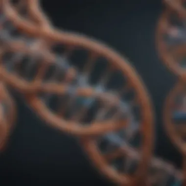 The Elegant Structure of DNA DNA double helix structure