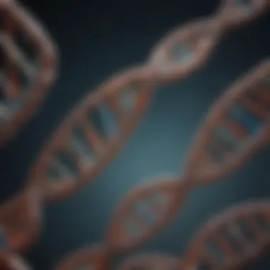Illustration of animal evolution through DNA