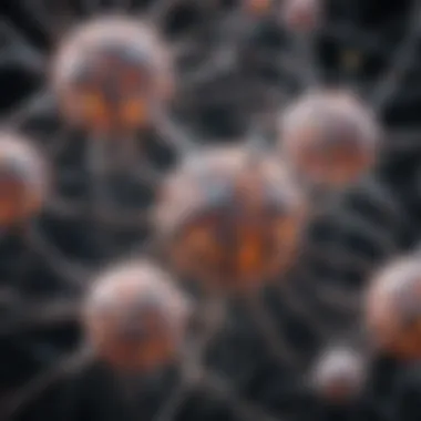 Functionality of Neurons Diagram showcasing the functioning of neurons in a network