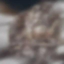 Representation of a complex equation