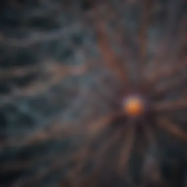 Illustration of different neural network layers
