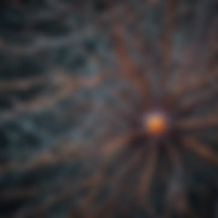 Illustration of different neural network layers