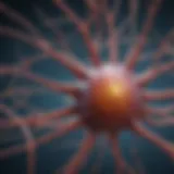 Illustration of a neuron structure in a neural network