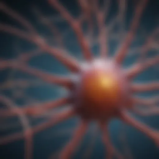 Illustration of a neuron structure in a neural network