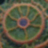 Detailed illustration of a plant cell showcasing organelles