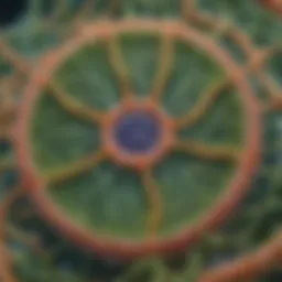 Detailed illustration of a plant cell showcasing organelles