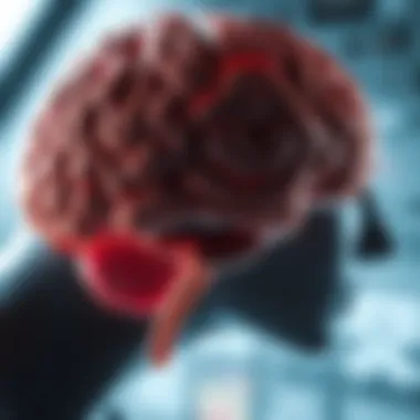 The Five Senses and Brain Pathways Diagram showcasing the five senses and their brain pathways