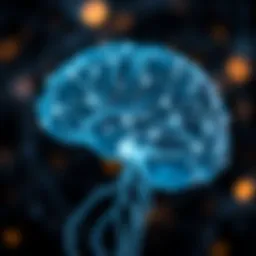 Neural connections illustrating sensory processing