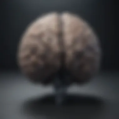 Brain Structures Related to Depression Glance at brain structures associated with depressive disorders