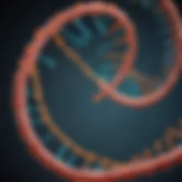Illustration of epigenetic modifications on DNA