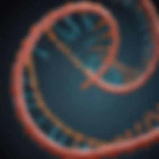 Illustration of epigenetic modifications on DNA