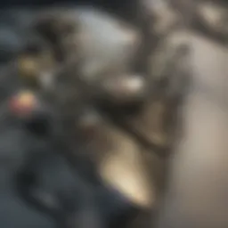 Schematic representation of Goodenough battery chemistry