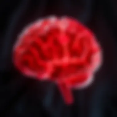 Brain structures involved in emotional regulation