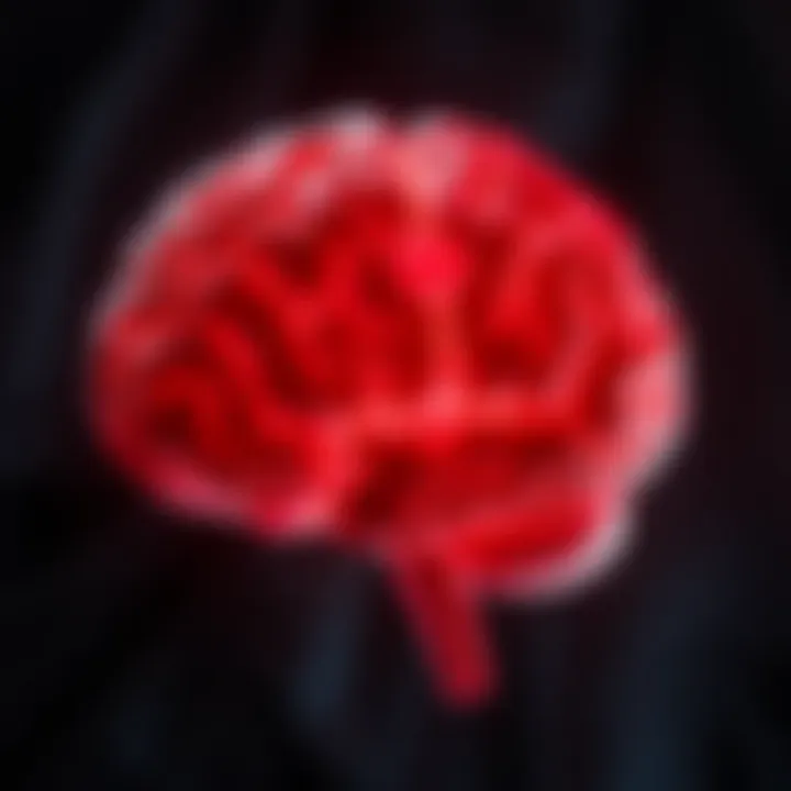 Brain structures involved in emotional regulation