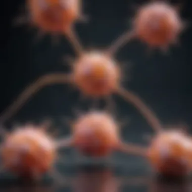 Neuropeptides and Their Interactions Representation of neuropeptides and their interactions