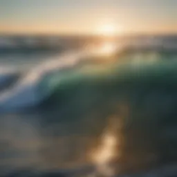 Illustration of different types of waves