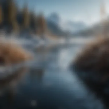Impact on Aquatic Ecosystems Impact of frozen water on aquatic ecosystems