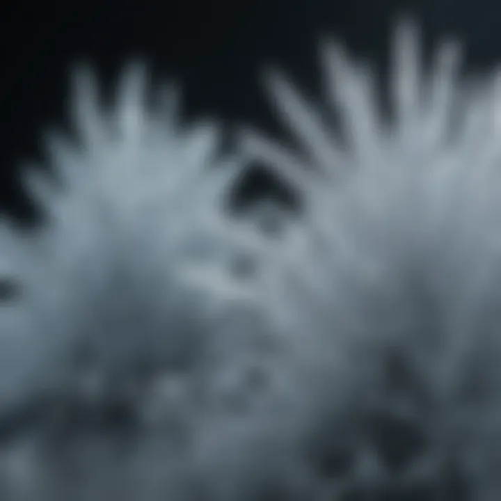 Ice crystals forming from liquid water