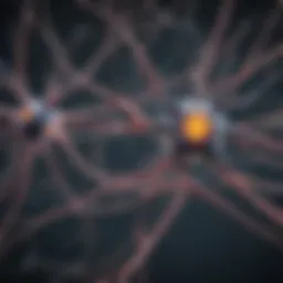 Illustration of biological neurons and their synaptic connections
