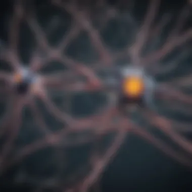 Illustration of biological neurons and their synaptic connections