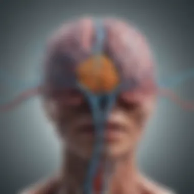 Neurochemical Pathways in Depression Brain illustration depicting neurochemical pathways