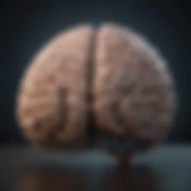 Brain structure alterations linked to chronic depression