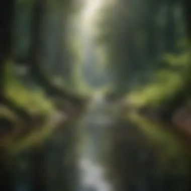 Rejuvenating Nature A peaceful scene of nature symbolizing wellness and rejuvenation